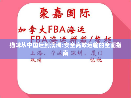 猫咪从中国运到澳洲:安全高效运输的全面指南 猫咪从中国运到澳洲:安全高效运输的全面指南