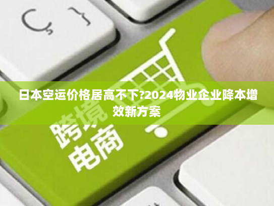 日本空运价格居高不下?2024物业企业降本增效新方案 日本空运价格居高不下?2024物业企业降本增效新方案