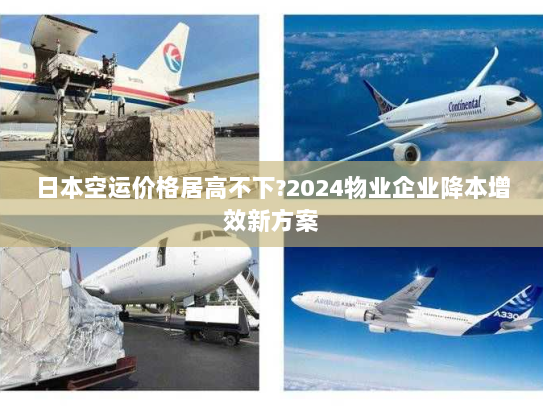 日本空运价格居高不下?2024物业企业降本增效新方案 日本空运价格居高不下?2024物业企业降本增效新方案
