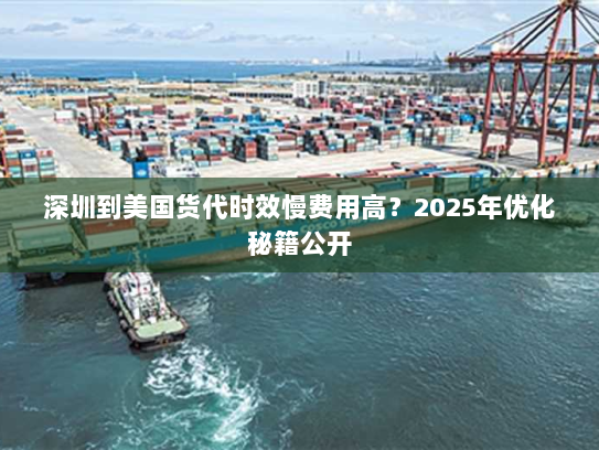 深圳到美国货代时效慢费用高?2025年优化秘籍公开 深圳到美国货代时效慢费用高?2025年优化秘籍公开