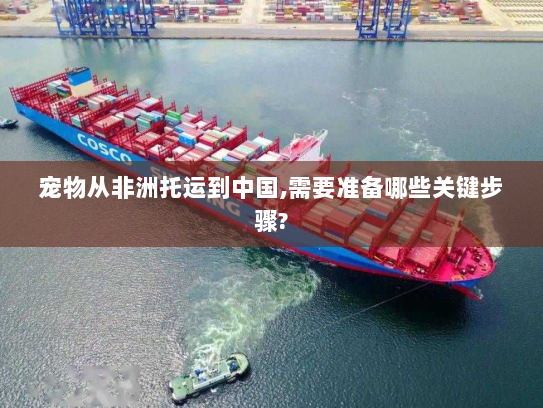 宠物从非洲托运到中国,需要准备哪些关键步骤? 宠物从非洲托运到中国,需要准备哪些关键步骤?