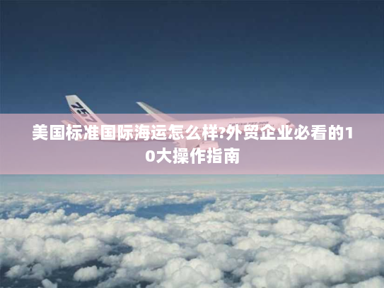 美国标准国际海运怎么样?外贸企业必看的10大操作指南 美国标准国际海运怎么样?外贸企业必看的10大操作指南