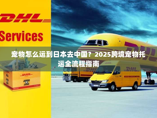 宠物怎么运到日本去中国?2025跨境宠物托运全流程指南 宠物怎么运到日本去中国?2025跨境宠物托运全流程指南