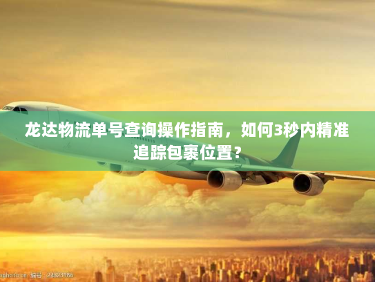 龙达物流单号查询操作指南，如何3秒内精准追踪包裹位置？