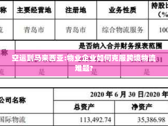 空运到马来西亚:物业企业如何克服跨境物流难题? 空运到马来西亚:物业企业如何克服跨境物流难题?