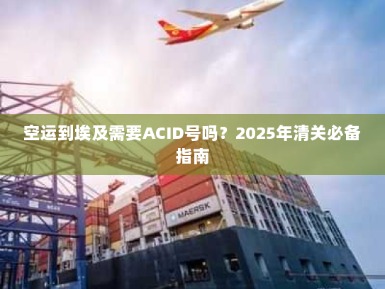 空运到埃及需要ACID号吗?2025年清关必备指南 空运到埃及需要ACID号吗?2025年清关必备指南