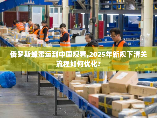 俄罗斯蜂蜜运到中国观看,2025年新规下清关流程如何优化?