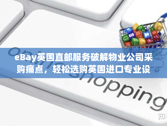 eBay英国直邮服务破解物业公司采购痛点，轻松选购英国进口专业设备