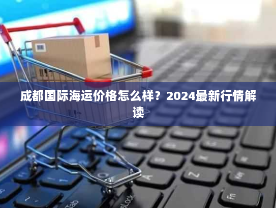 成都国际海运价格怎么样？2024最新行情解读
