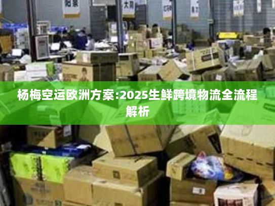 杨梅空运欧洲方案:2025生鲜跨境物流全流程解析