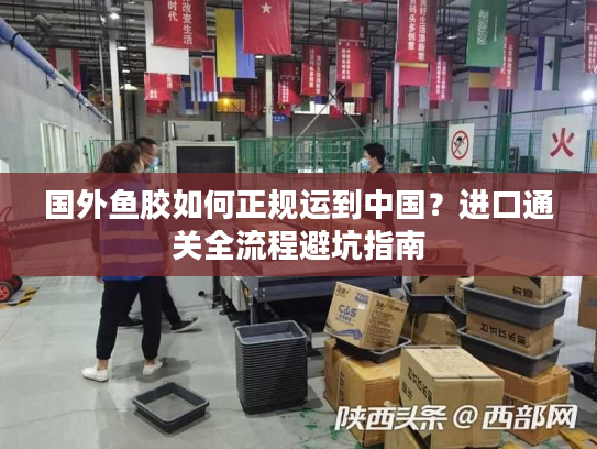 国外鱼胶如何正规运到中国？进口通关全流程避坑指南