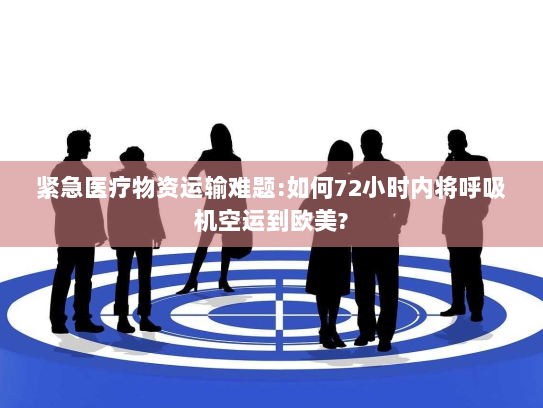 紧急医疗物资运输难题:如何72小时内将呼吸机空运到欧美?