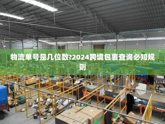 物流单号是几位数?2024跨境包裹查询必知规则 物流单号是几位数?2024跨境包裹查询必知规则