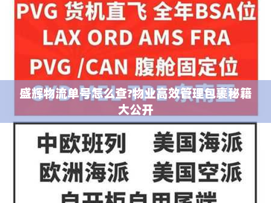 盛辉物流单号怎么查?物业高效管理包裹秘籍大公开