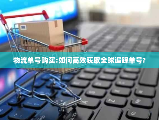 物流单号购买:如何高效获取全球追踪单号? 物流单号购买:如何高效获取全球追踪单号?