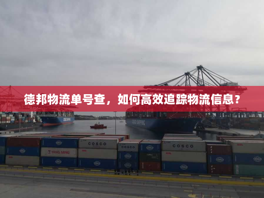 德邦物流单号查,如何高效追踪物流信息? 德邦物流单号查,如何高效追踪物流信息?