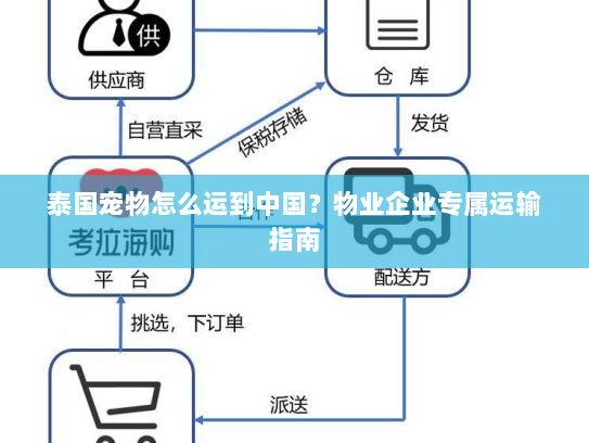 泰国宠物怎么运到中国?物业企业专属运输指南 泰国宠物怎么运到中国?物业企业专属运输指南