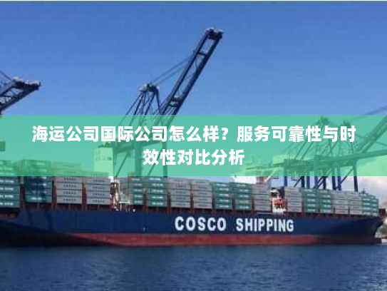 海运公司国际公司怎么样？服务可靠性与时效性对比分析