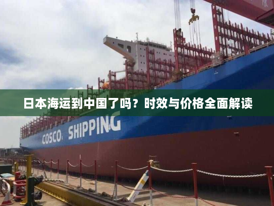 日本海运到中国了吗？时效与价格全面解读