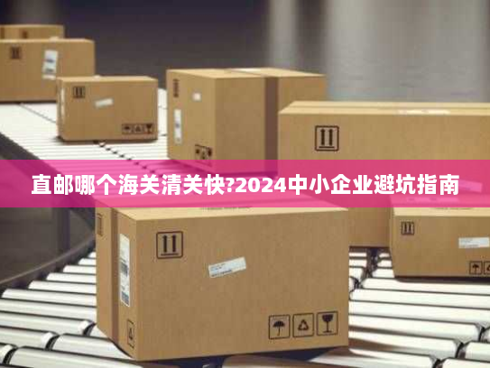 直邮哪个海关清关快?2024中小企业避坑指南 直邮哪个海关清关快?2024中小企业避坑指南