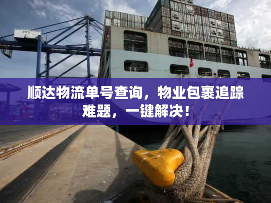 顺达物流单号查询，物业包裹追踪难题，一键解决！