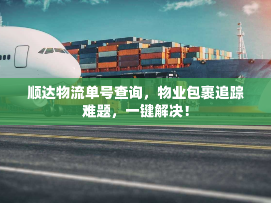 顺达物流单号查询，物业包裹追踪难题，一键解决！