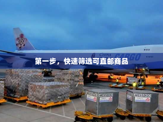 第一步,快速筛选可直邮商品 第一步,快速筛选可直邮商品