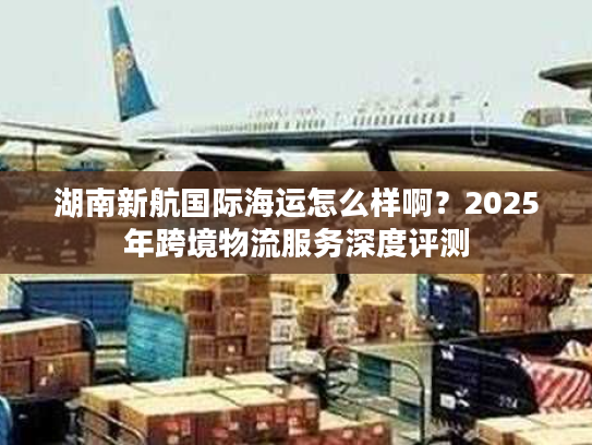 湖南新航国际海运怎么样啊？2025年跨境物流服务深度评测