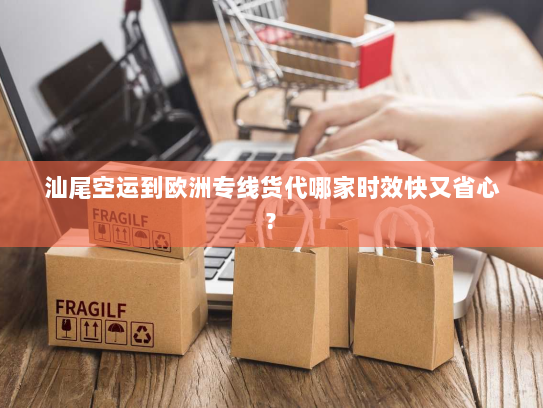 汕尾空运到欧洲专线货代哪家时效快又省心?