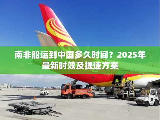 南非船运到中国多久时间？2025年最新时效及提速方案