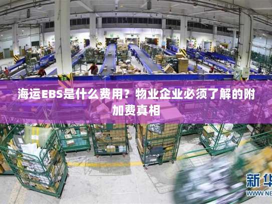 海运EBS是什么费用?物业企业必须了解的附加费真相 海运EBS是什么费用?物业企业必须了解的附加费真相