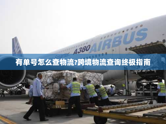 有单号怎么查物流?跨境物流查询终极指南 有单号怎么查物流?跨境物流查询终极指南