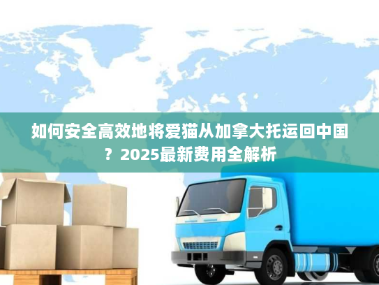 如何安全高效地将爱猫从加拿大托运回中国？2025最新费用全解析