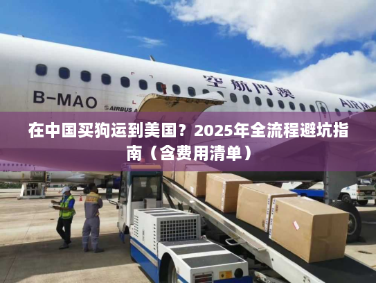 在中国买狗运到美国?2025年全流程避坑指南(含费用清单) 在中国买狗运到美国?2025年全流程避坑指南(含费用清单)