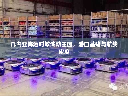 几内亚海运时效波动主因，港口基建与航线密度