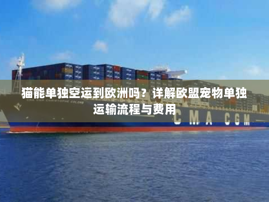 猫能单独空运到欧洲吗？详解欧盟宠物单独运输流程与费用