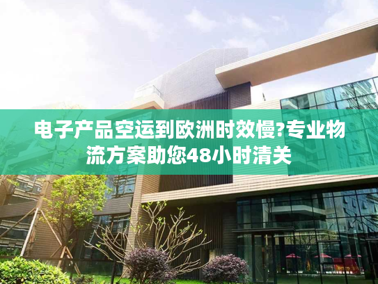 电子产品空运到欧洲时效慢?专业物流方案助您48小时清关 电子产品空运到欧洲时效慢?专业物流方案助您48小时清关