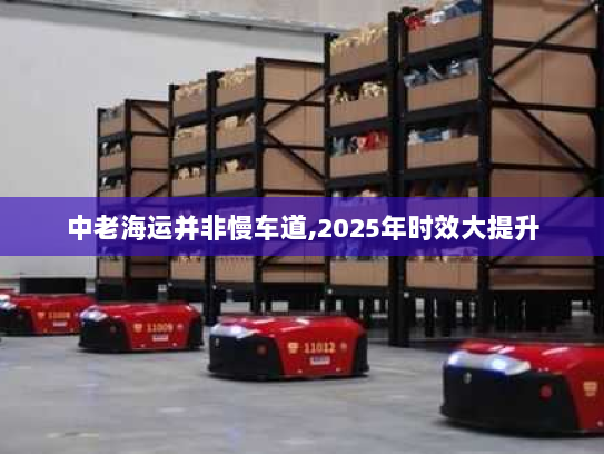 中老海运并非慢车道,2025年时效大提升 中老海运并非慢车道,2025年时效大提升