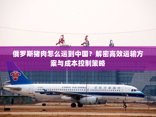 俄罗斯猪肉怎么运到中国?解密高效运输方案与成本控制策略 俄罗斯猪肉怎么运到中国?解密高效运输方案与成本控制策略
