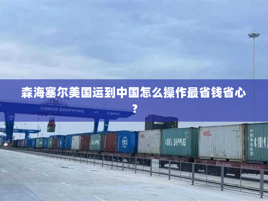 森海塞尔美国运到中国怎么操作最省钱省心？