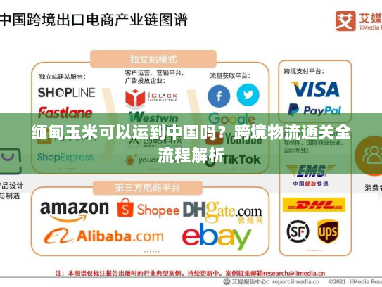 缅甸玉米可以运到中国吗?跨境物流通关全流程解析 缅甸玉米可以运到中国吗?跨境物流通关全流程解析