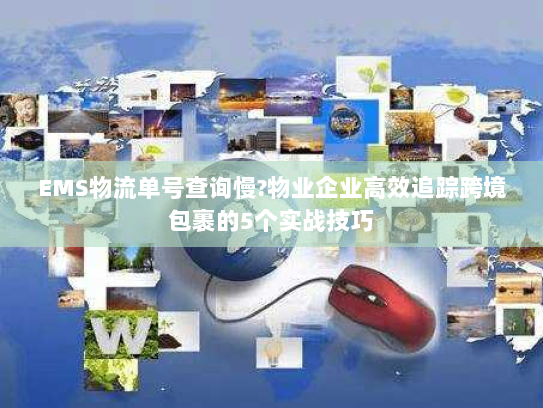 EMS物流单号查询慢?物业企业高效追踪跨境包裹的5个实战技巧 EMS物流单号查询慢?物业企业高效追踪跨境包裹的5个实战技巧