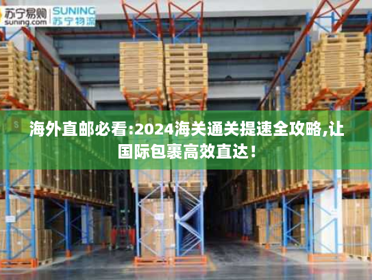 海外直邮必看:2024海关通关提速全攻略,让国际包裹高效直达! 海外直邮必看:2024海关通关提速全攻略,让国际包裹高效直达!