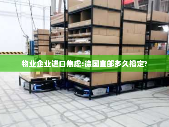 物业企业进口焦虑:德国直邮多久搞定?