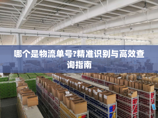 哪个是物流单号?精准识别与高效查询指南