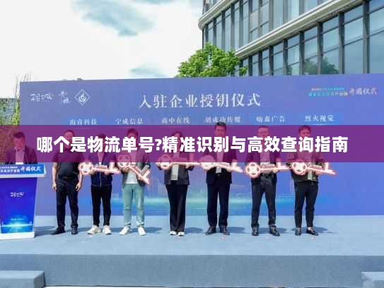 哪个是物流单号?精准识别与高效查询指南 哪个是物流单号?精准识别与高效查询指南