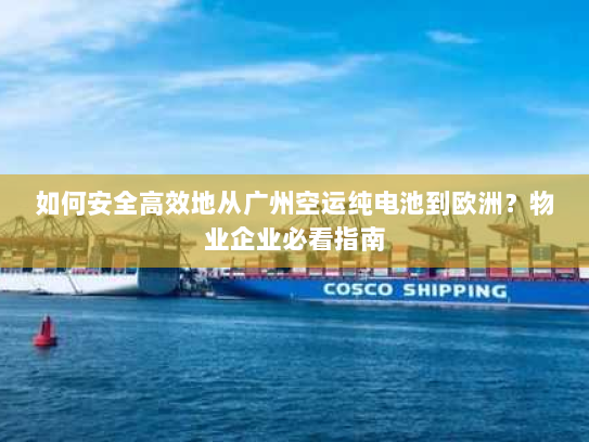 如何安全高效地从广州空运纯电池到欧洲?物业企业必看指南 如何安全高效地从广州空运纯电池到欧洲?物业企业必看指南