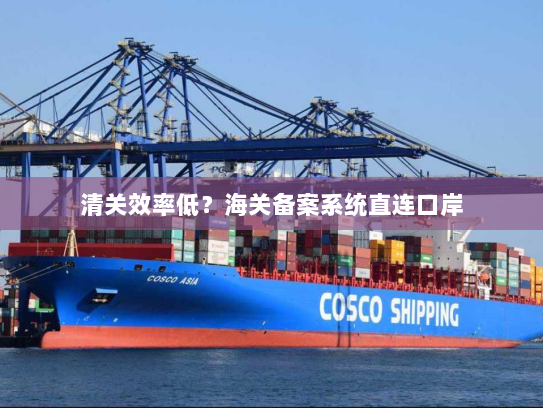 清关效率低?海关备案系统直连口岸 清关效率低?海关备案系统直连口岸