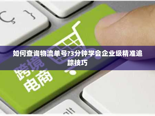如何查询物流单号?3分钟学会企业级精准追踪技巧 如何查询物流单号?3分钟学会企业级精准追踪技巧
