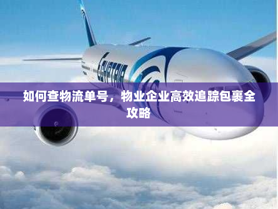如何查物流单号,物业企业高效追踪包裹全攻略 如何查物流单号,物业企业高效追踪包裹全攻略
